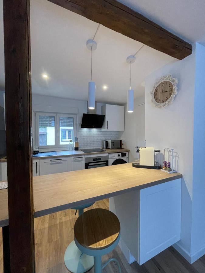 Apartmán « A Deux Pas De La Petite Venise » Colmar Exteriér fotografie
